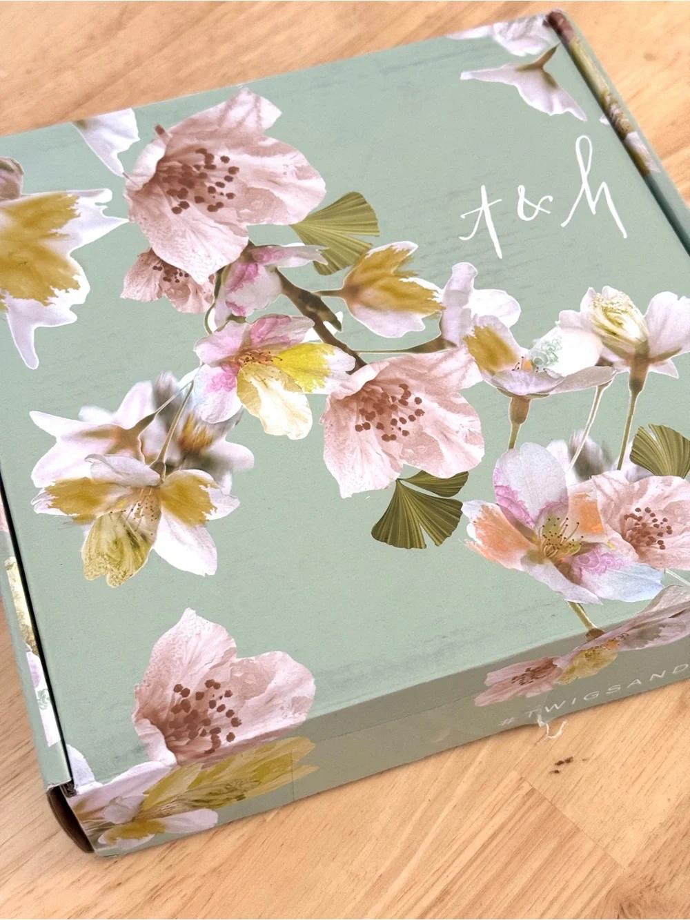 Anthropologie Twigs & Honey Baby’s Breath Pearl Opal Bridal crown headband